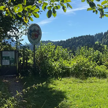 Apartamento Ciao-aschau Grenzhub 308 Foerster *
