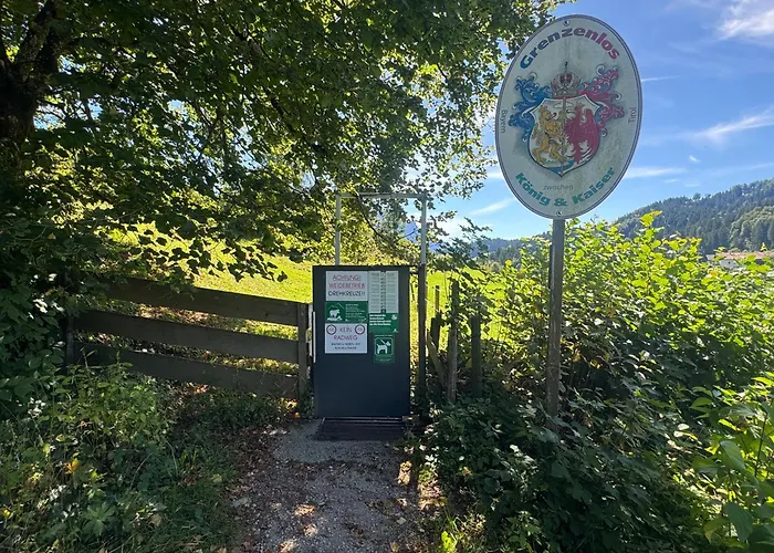Ciao-aschau Grenzhub 308 Foerster